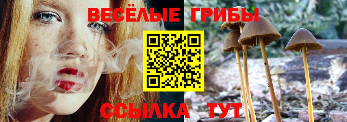 Галлюциногенные грибы Psilocybe  Вход с VPN  Ялуторовск  Галлюциногенные грибы прущие грибы 